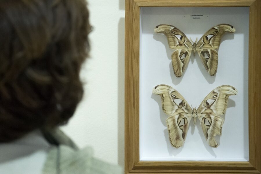 Foto: M. Dvořáková